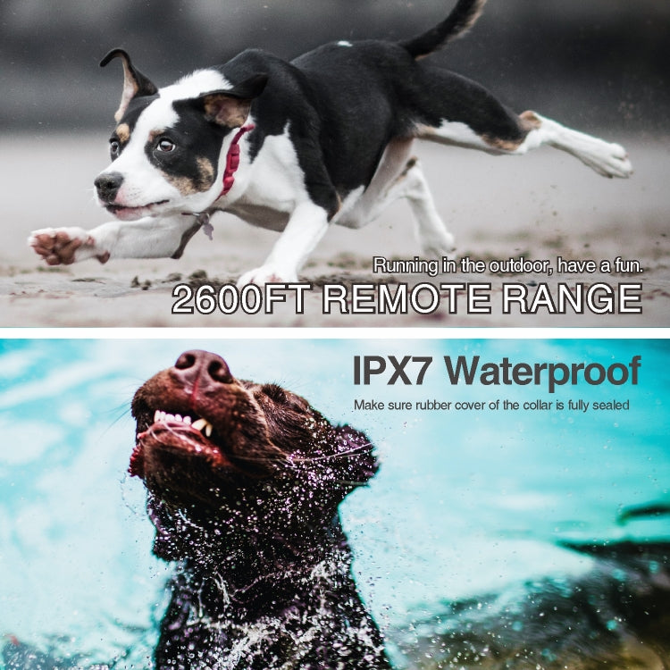 Intelligent Remote Control Dog Trainer Automatic Barking Stop Collar(White) by bashfashion