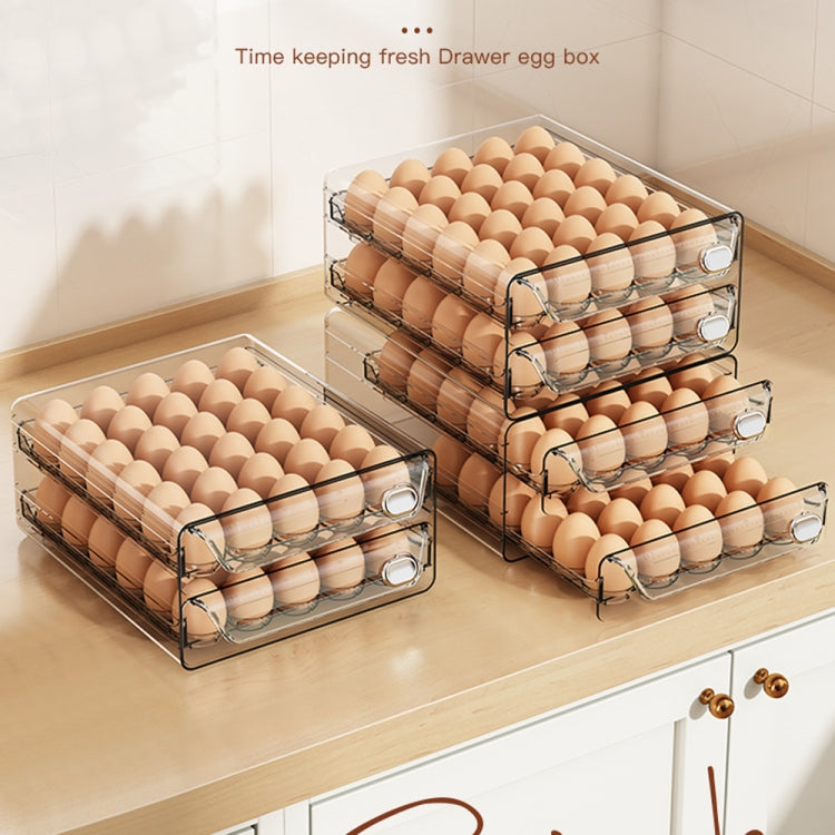 Large Single Layer 20 Grid Egg Storage Box PET Transparent Multi-Specification Egg Box by bashfashion