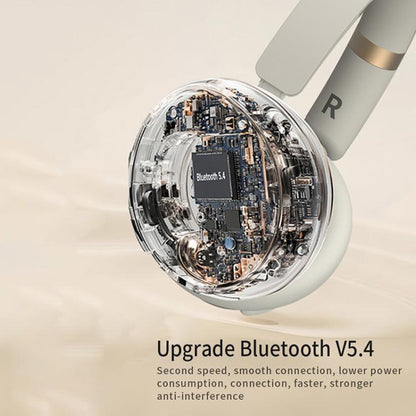 Dmooster D19 Pro ANC and EDC Noise Reduction Bluetooth Headphones(Black) by D MOOSTER