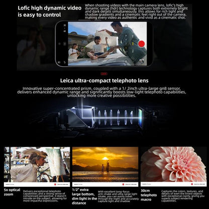 MPH4276_B18.jpg@564981cc87c8c724b858d45fec405dcd