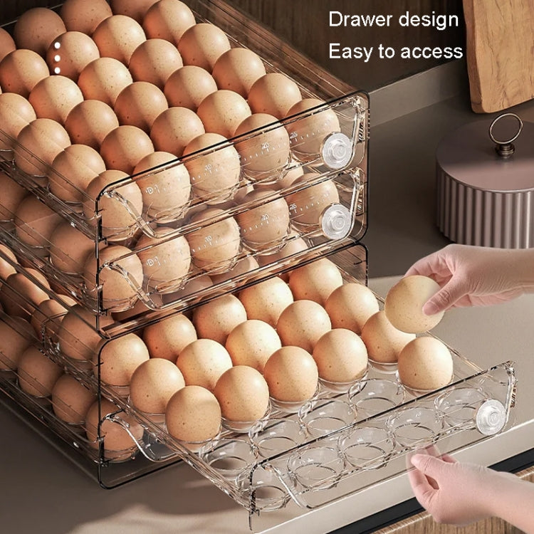 Large Single Layer 20 Grid Egg Storage Box PET Transparent Multi-Specification Egg Box by bashfashion