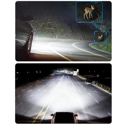 TBD06059236_B9.jpg@211876738251f6c316e28325086247cd